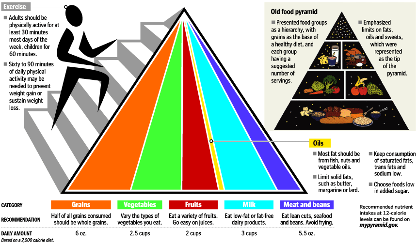 Healthy Body, Healthy Mind